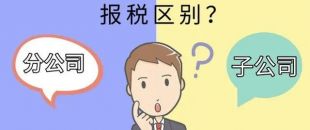 設(shè)立分公司和子公司，哪個更節(jié)稅？看完就明白了！
