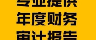 財(cái)務(wù)報(bào)表審計(jì)報(bào)告的費(fèi)用是多少？